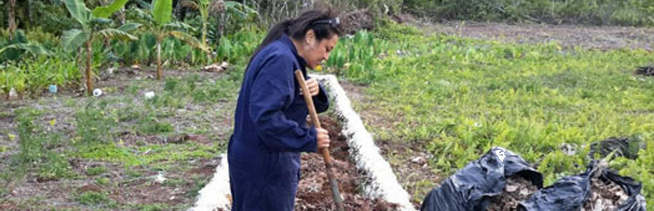 Four-Season-Kelemutu-Organic-Farmers-Group-of-Niue